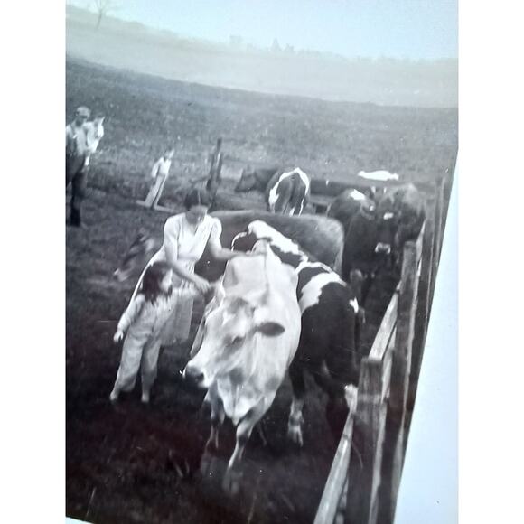 Vintage Photograph Woman & Little Girl Petting A Cow Farm Life - Picture 3 of 4